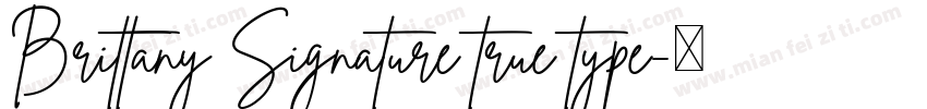 Brittany Signature true type字体转换